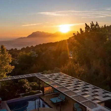 Stella Villa