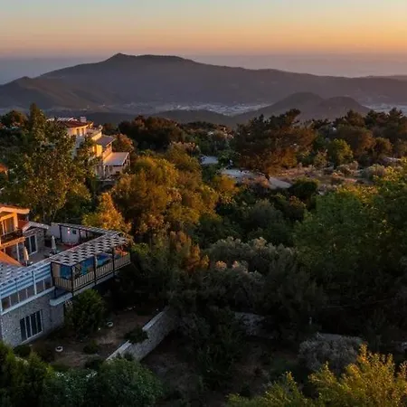Stella Villa *